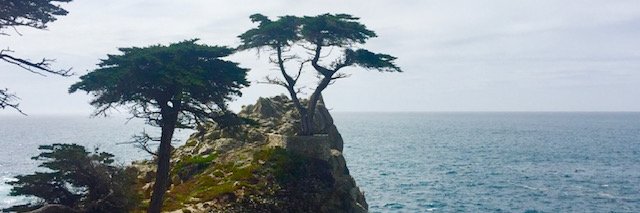GFBlough's profile banner image