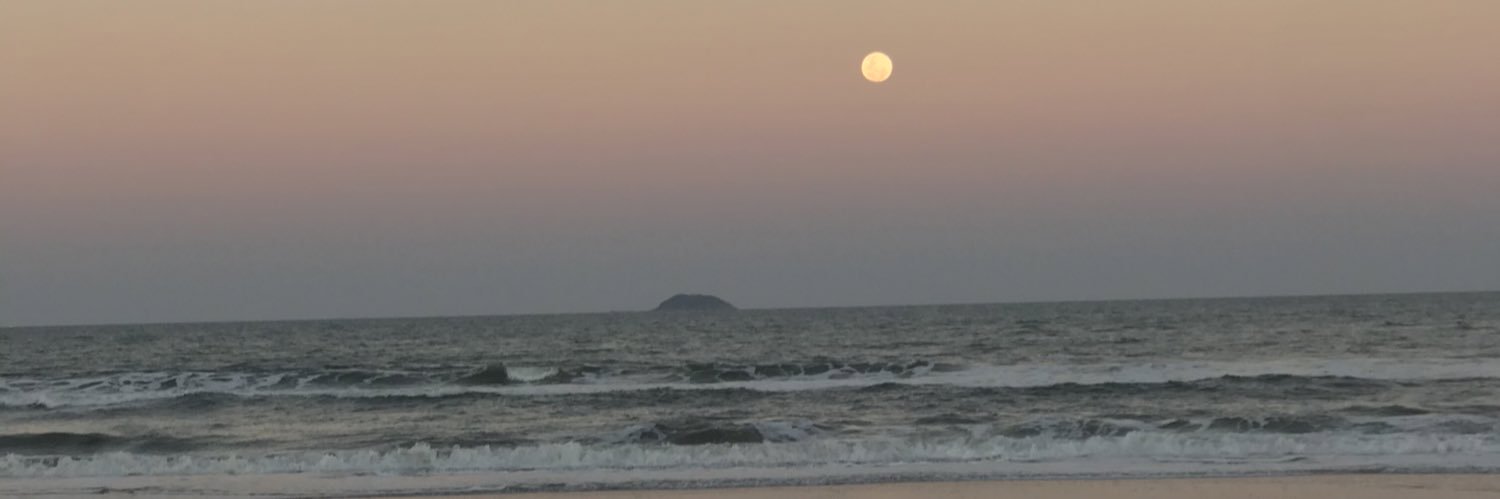 Mauriicio_lopes's profile banner image