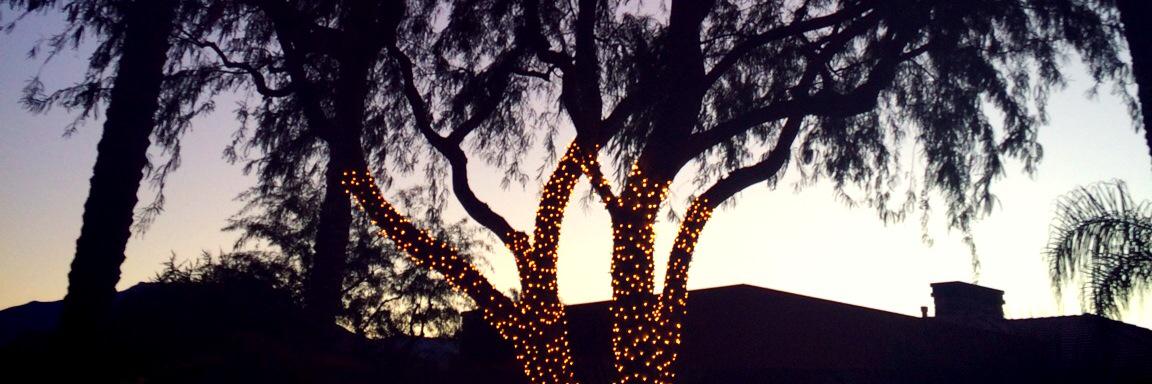 carlapatz's profile banner image