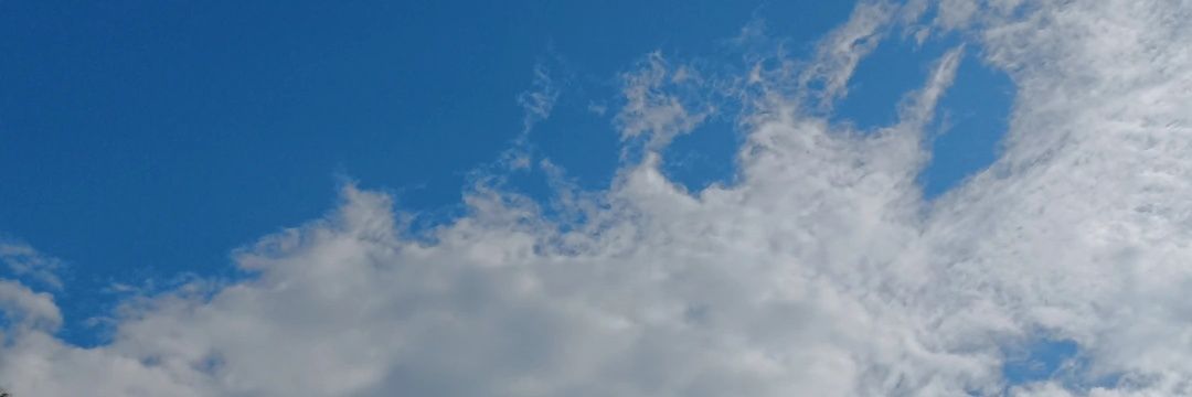 NFlts's profile banner image