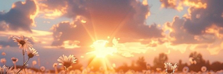 jachani14's profile banner image