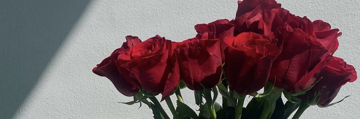 DaniJane banner