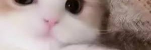 dwilsonLHC's profile banner image