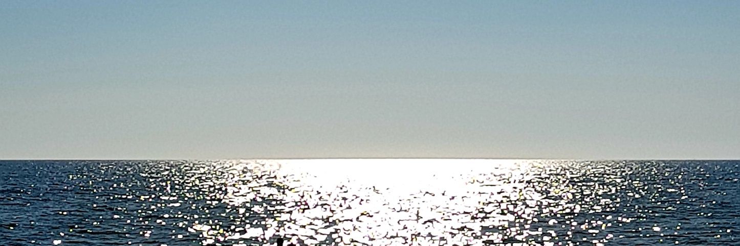 OSCARVOSB's profile banner image