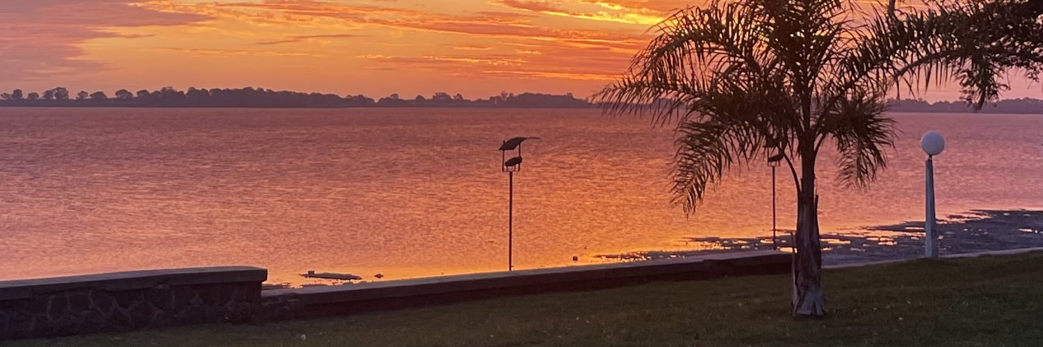 melllpm's profile banner image