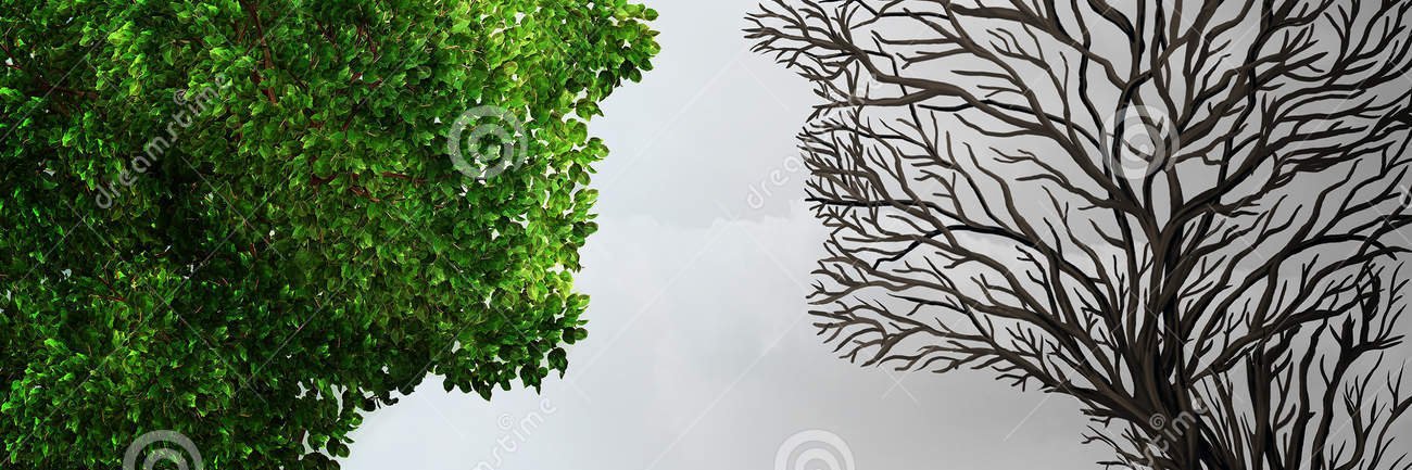 fsa090181's profile banner image