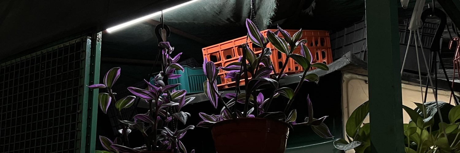 delfidip's profile banner image
