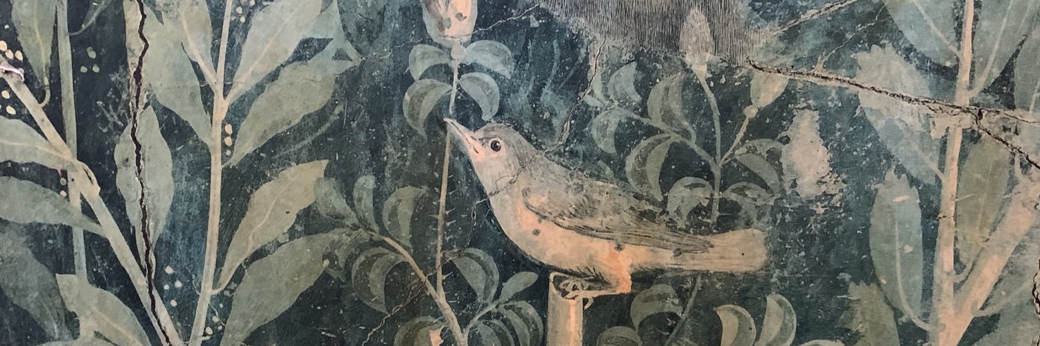 stimpydraws's profile banner image