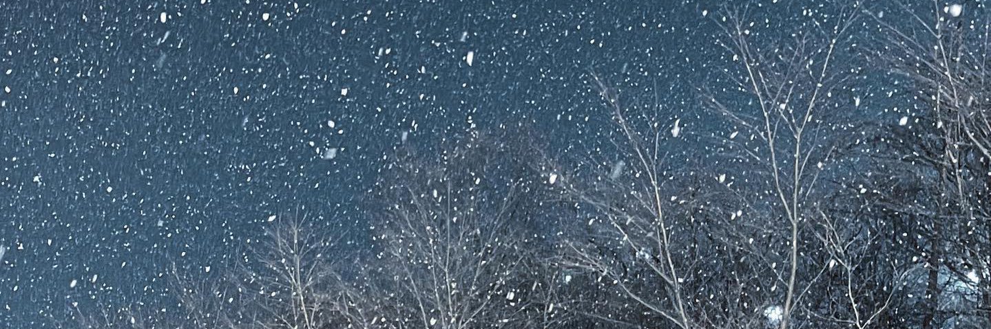𐙚 banner