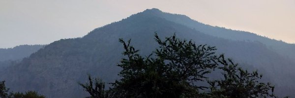 leftarmbadger Profile Banner