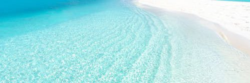 P 💞 banner