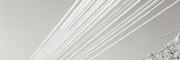 tivanovic07 Profile Banner