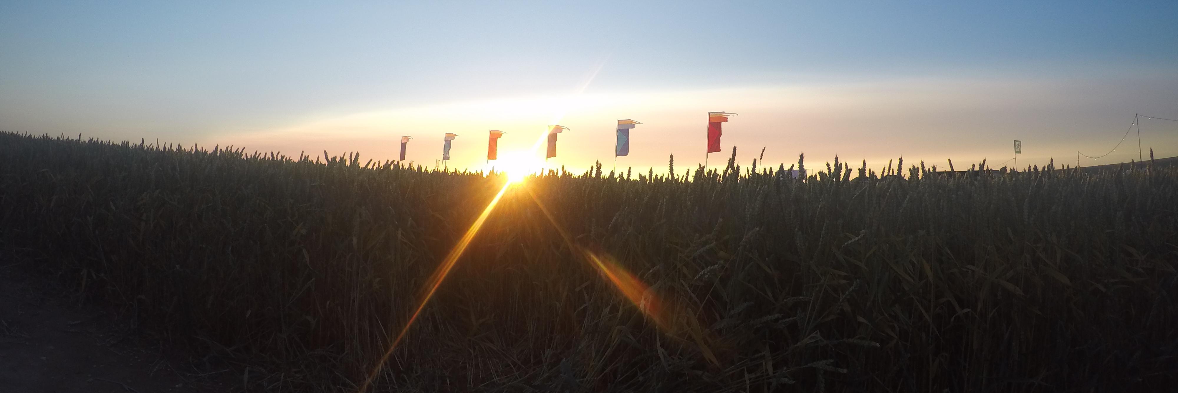 Max Girardeau banner