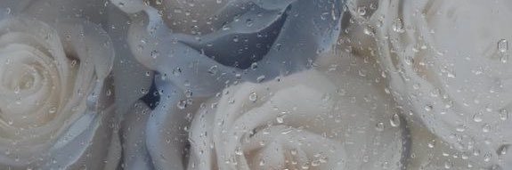 みほ banner