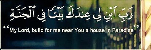 _MuhammedOSama's profile banner image