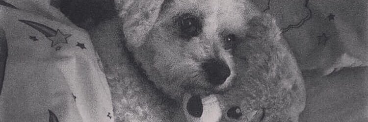 emma banner