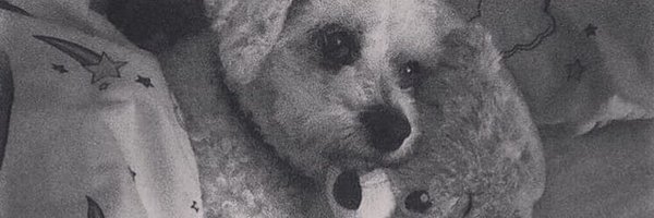 emmar0ar Profile Banner