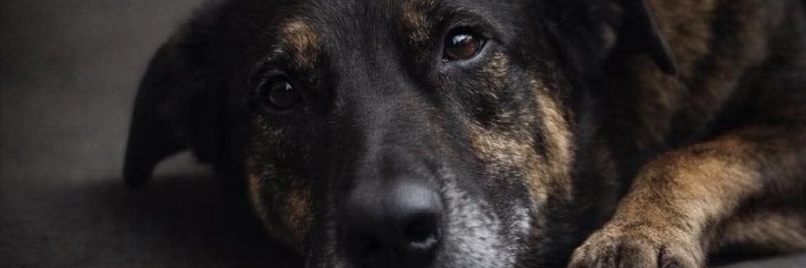 Morfius1972's profile banner image