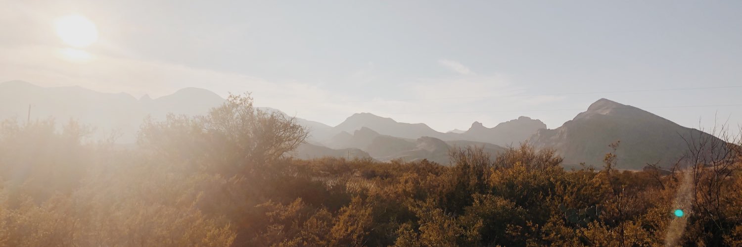 sophee_phee's profile banner image