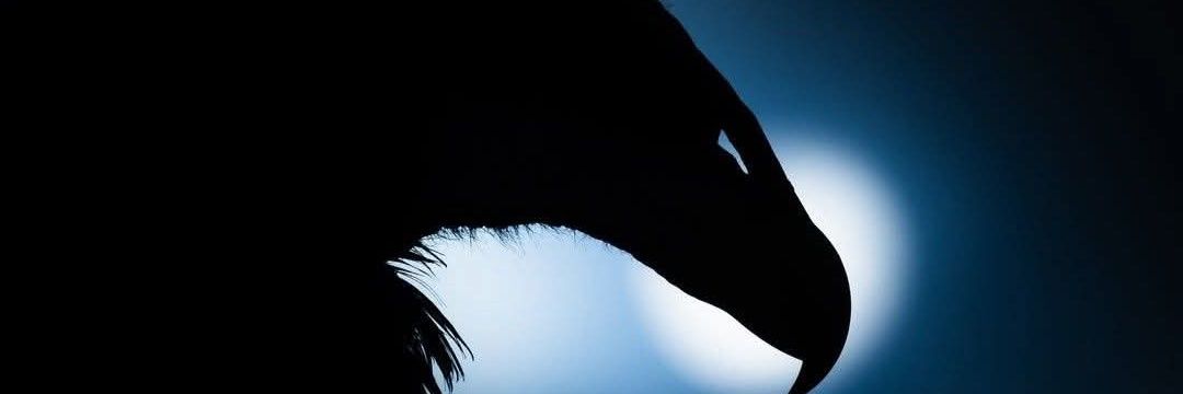 Rockerciber's profile banner image