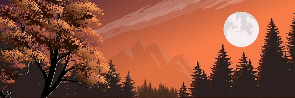 ManisaliSelime's profile banner image