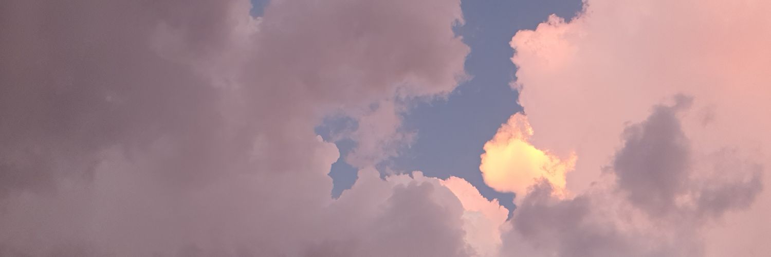 벨라 banner