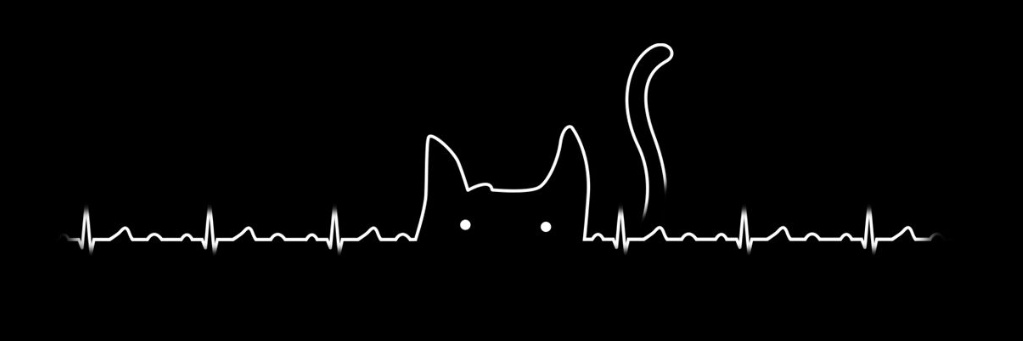 gone__00000's profile banner image