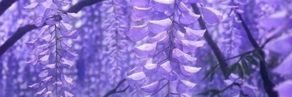 TracyAutism Profile Banner