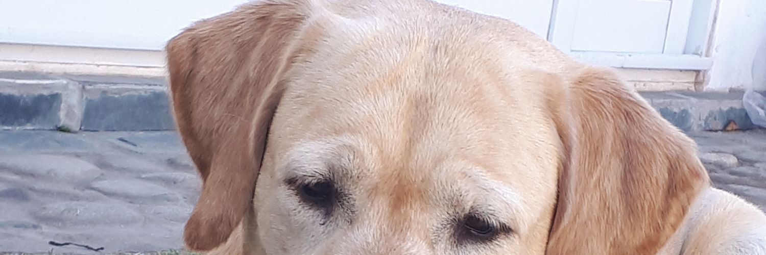 FranBriaVlp's profile banner image