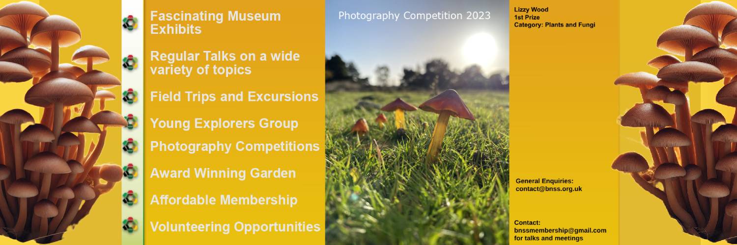 Bournemouth Natural Science Society & Museum banner