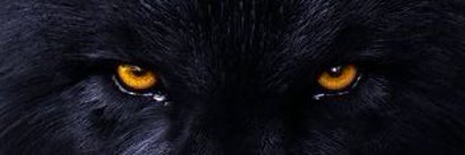 WOLF Profile Banner