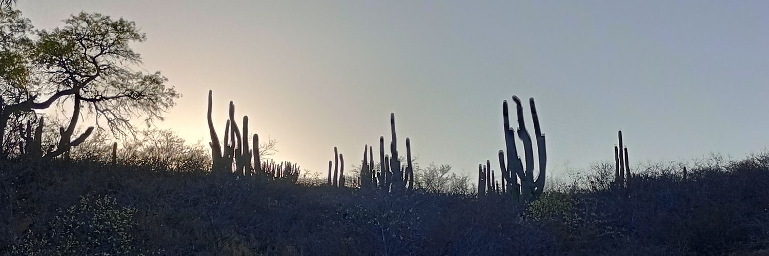 Anabellabusta's profile banner image