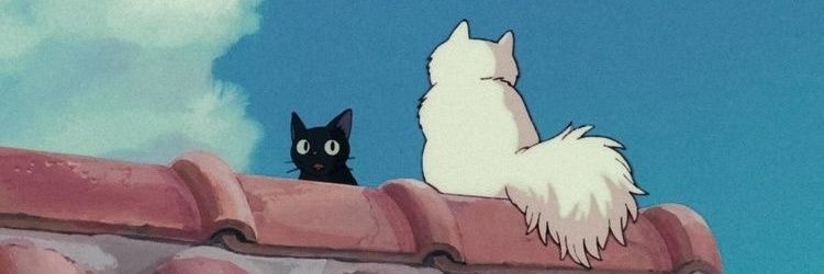 fefeararuna's profile banner image