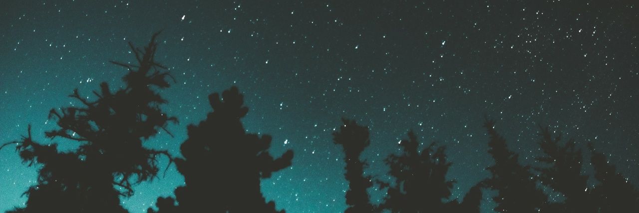 anectoasts's profile banner image