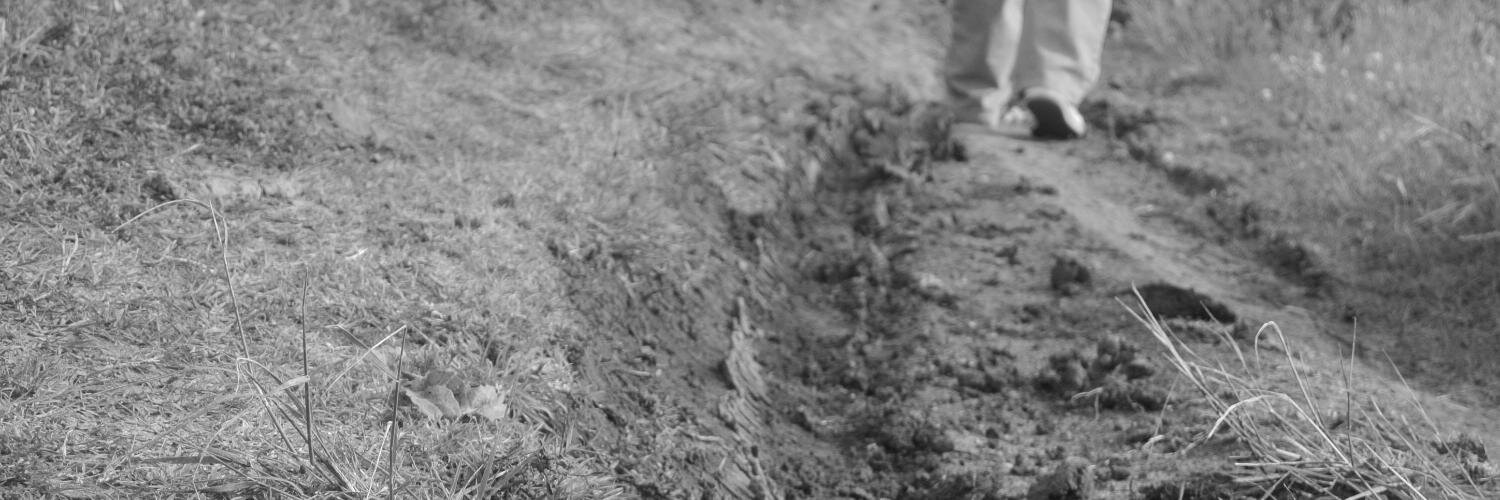 MSolCastroo's profile banner image