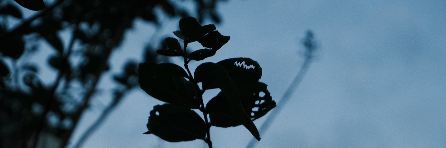 chipchipmunkkkk's profile banner image