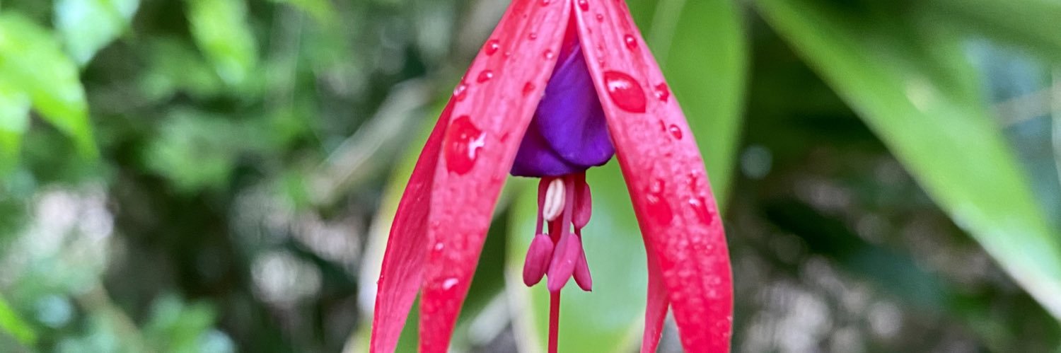 Katie Bryant, PhD banner