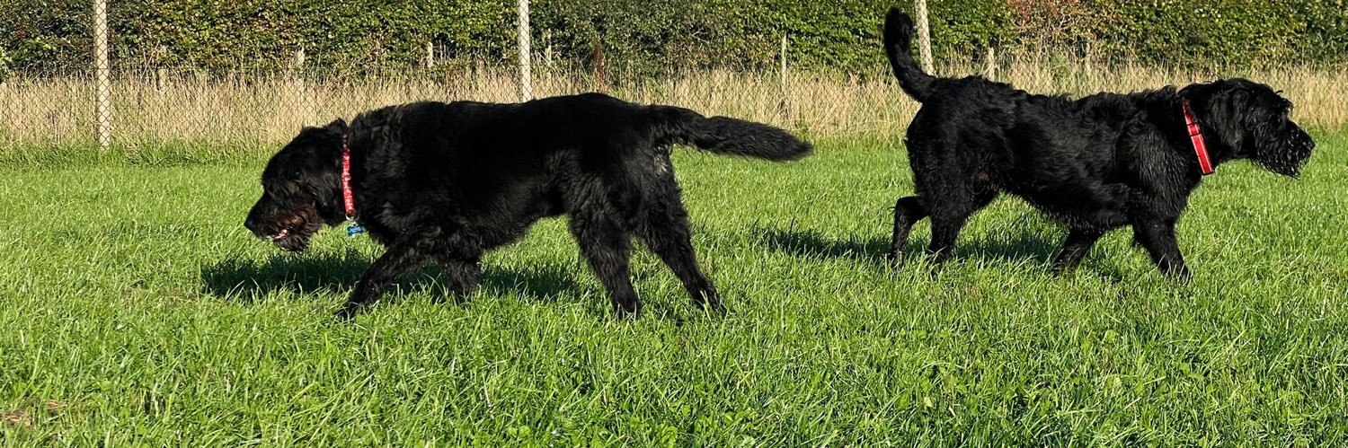 maxchiswell's profile banner image