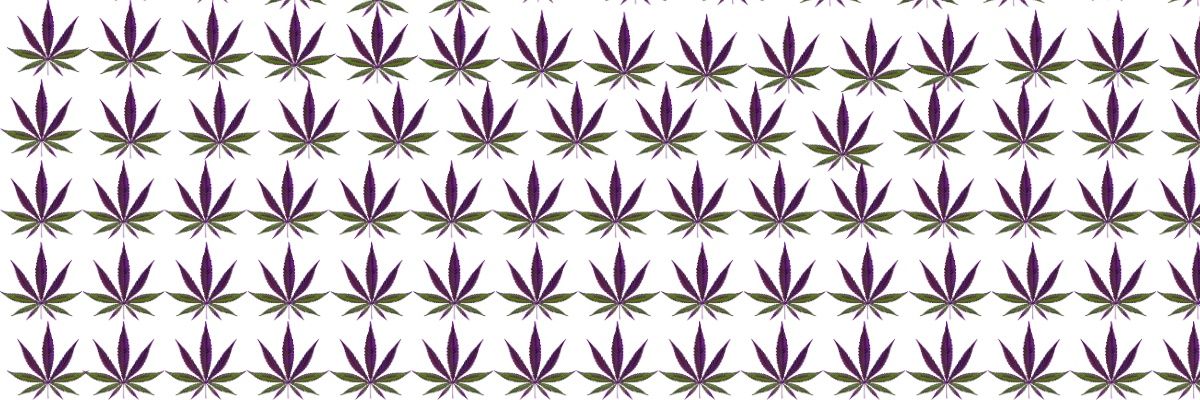 HalfHazed banner