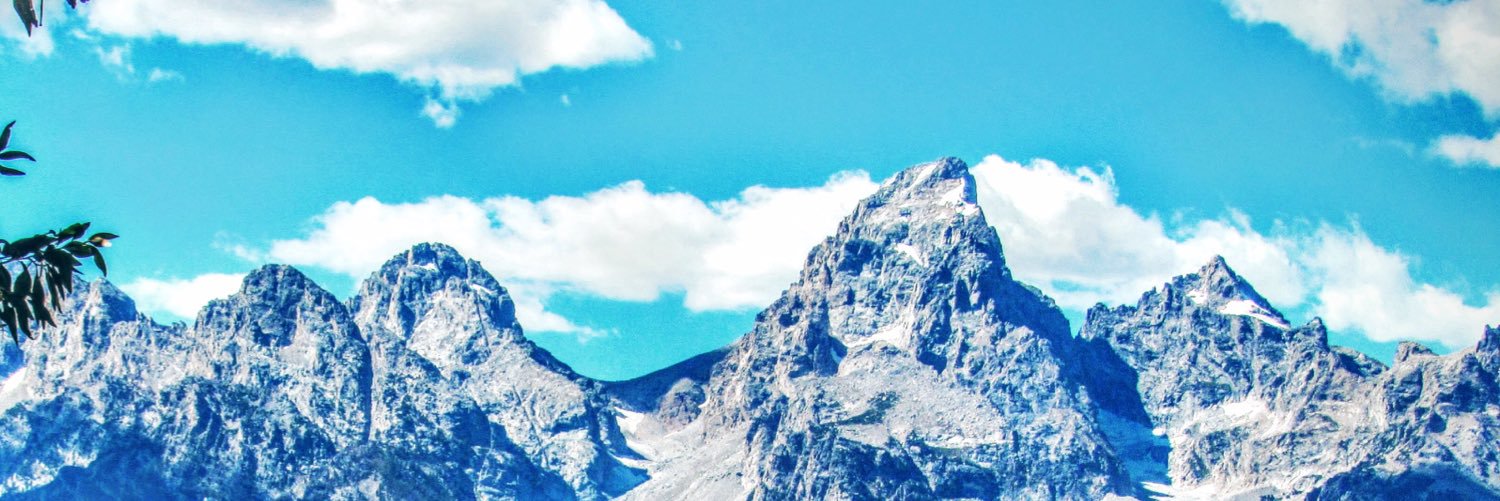 blhorowitz's profile banner image
