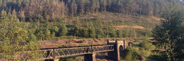 CymerPrimary Profile Banner