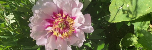 BarrellJuliette Profile Banner