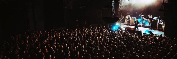 thephoenixtdot Profile Banner
