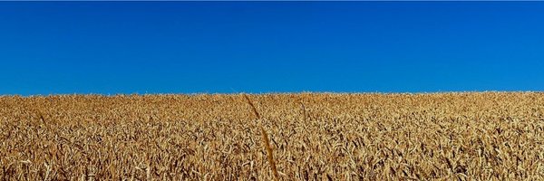 SciRamil Profile Banner