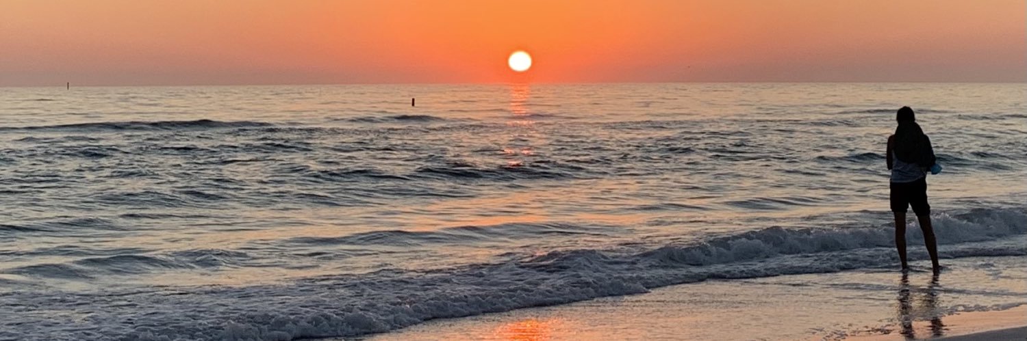 lisasamson's profile banner image