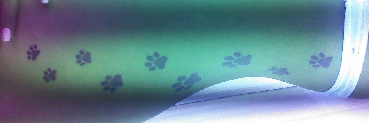 eggsalplato's profile banner image