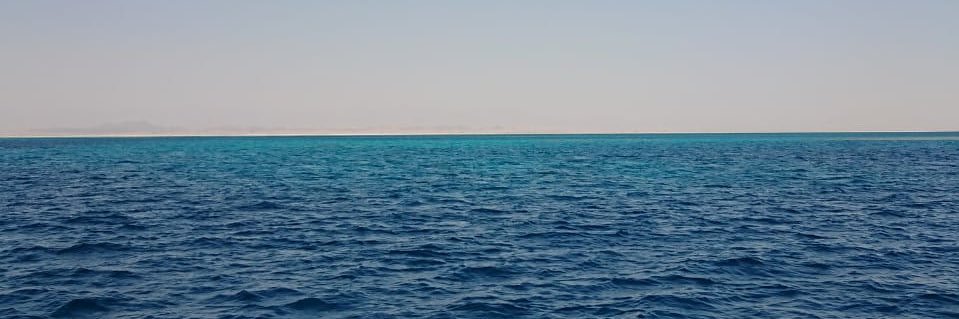 واحد١ banner