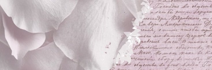 ‏۟'s banner