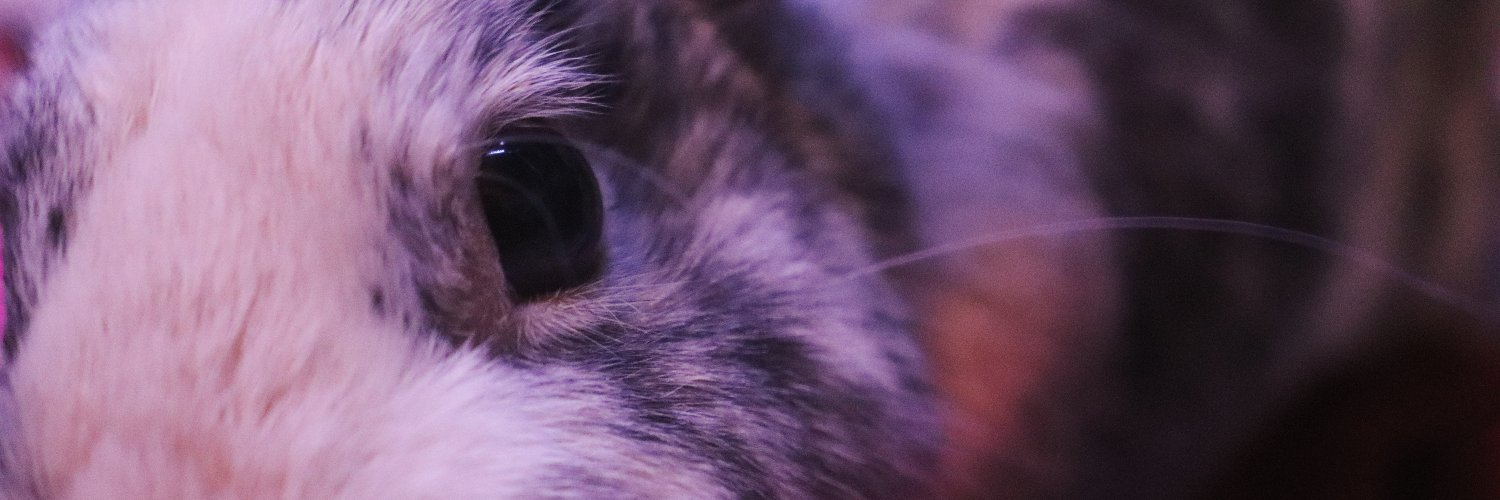 DeadOrNatsu's profile banner image