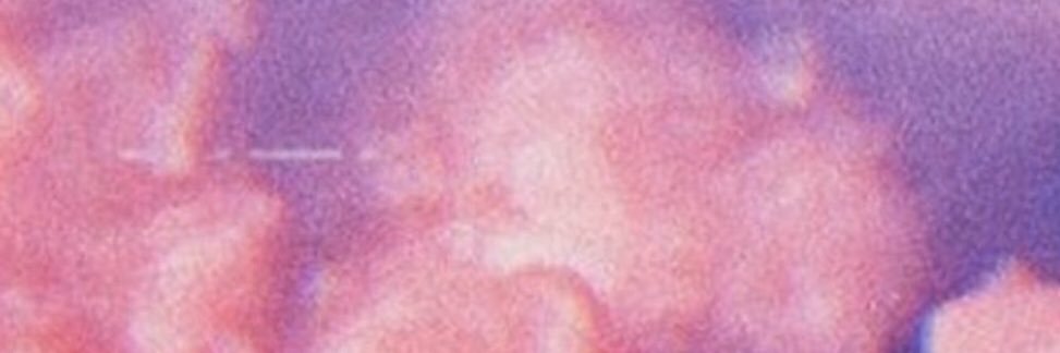 pip 🦋 banner